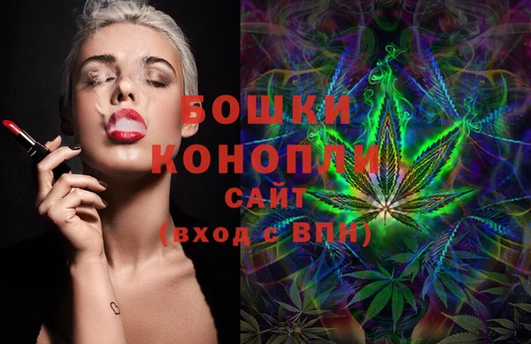 шишки Балабаново