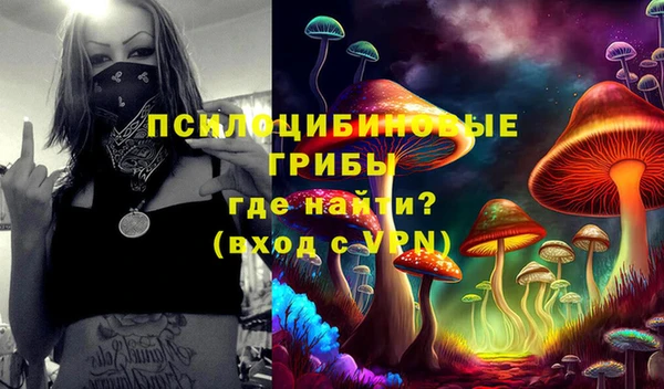 бошки Богданович