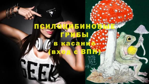 стаф Белоозёрский
