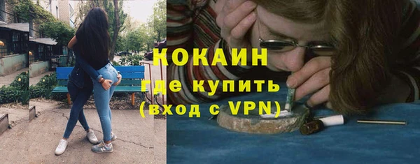 гашик Бородино