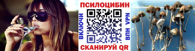 где купить наркоту  Балабаново  Псилоцибиновые грибы Cubensis 